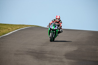 PJ-Motorsport-2019;anglesey-no-limits-trackday;anglesey-photographs;anglesey-trackday-photographs;enduro-digital-images;event-digital-images;eventdigitalimages;no-limits-trackdays;peter-wileman-photography;racing-digital-images;trac-mon;trackday-digital-images;trackday-photos;ty-croes